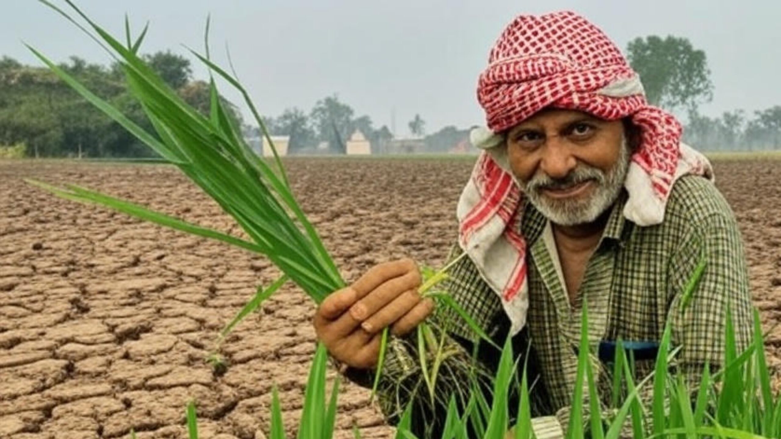 किसान भाइयों के लिए खुशखबरी! PM Kisan की 20वीं किस्त जल्द, जानें कैसे उठाएं ₹2000 का फायदा